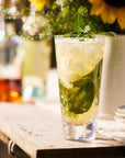 CASKATA Chatham Highball Glasses, Bloom Set of 2
