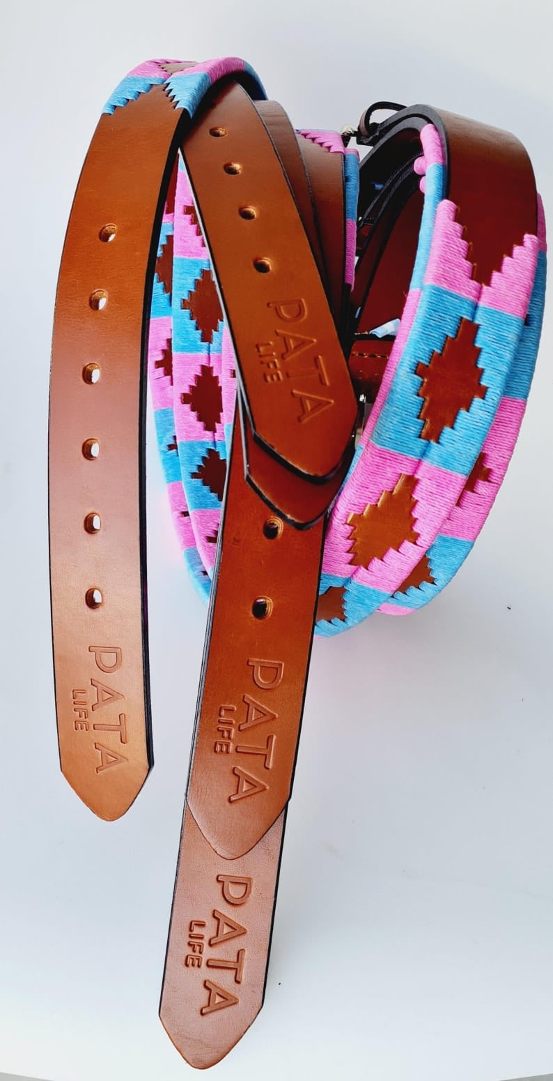 PATA LIFESTYLE Pink and Baby Blue Polo Belt