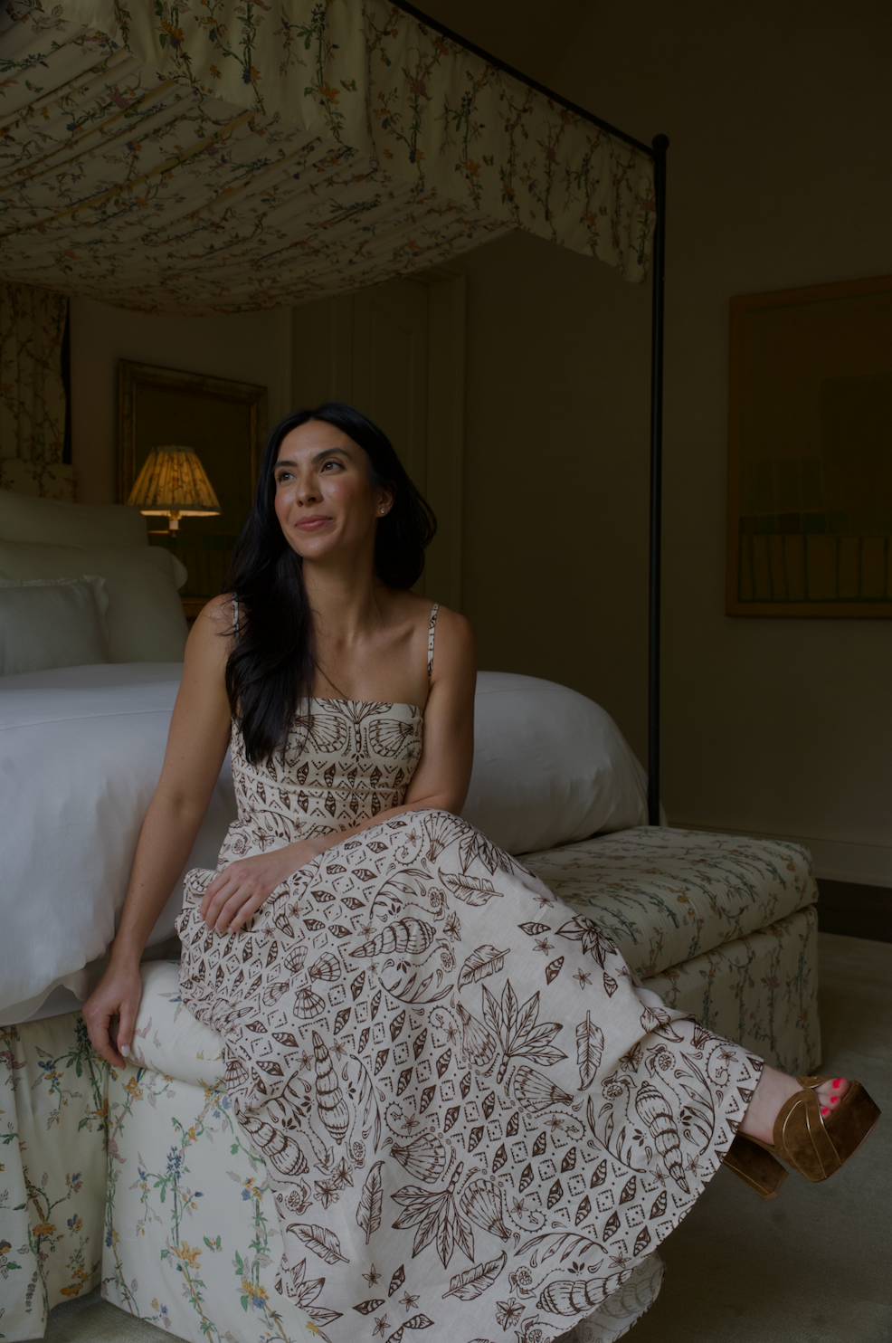 MASONS DAUGHTER | Ashtyn Maxi Dress, Cocoa Shell Print